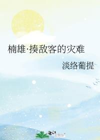 楠雄·揍敌客的灾难