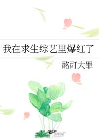 我在求生综艺里爆红了