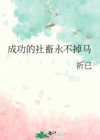 成功的社畜永不掉马