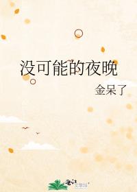 没可能的夜晚