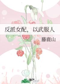 反派女配,以武服人
