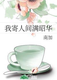 我寄人间满昭华