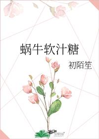 蜗牛软汁糖