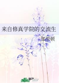 来自修真学院的交流生