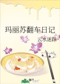 玛丽苏翻车日记