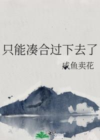 只能凑合过下去了