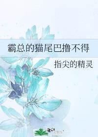 霸总的猫尾巴撸不得