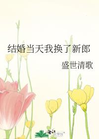 结婚当天我换了新郎