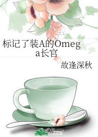 标记了装A的Omega长官