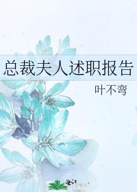 总裁夫人述职报告
