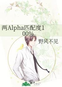 两Alpha匹配度100%