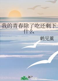 ҵഺ˳Իʣʲô