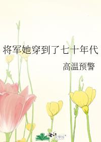 将军她穿到了七十年代