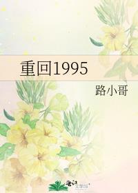 重回1995