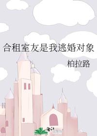 合租室友是我逃婚对象