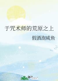 于咒术师的荒原之上