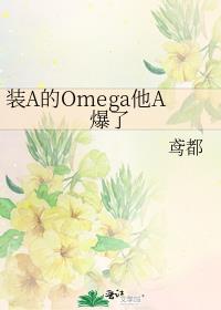 装A的Omega他A爆了