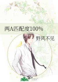 两A匹配度100%