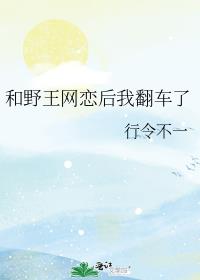 和野王网恋后我翻车了