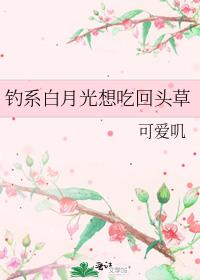 钓系白月光想吃回头草