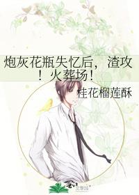 炮灰花瓶失忆后,渣攻!火葬场!