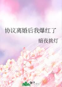 协议离婚后我爆红了