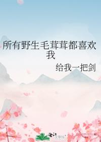 所有野生毛茸茸都喜欢我