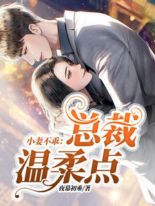 小妻不乖:总裁温柔点苏暖暖厉衍琛