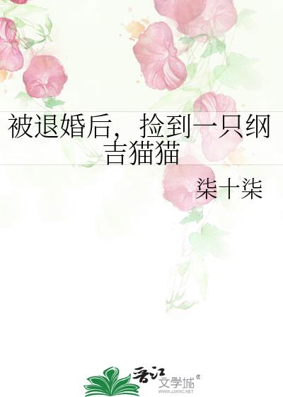 被退婚后,捡到一只纲吉猫猫