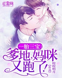 一胎三宝:爹地,妈咪又跑了!